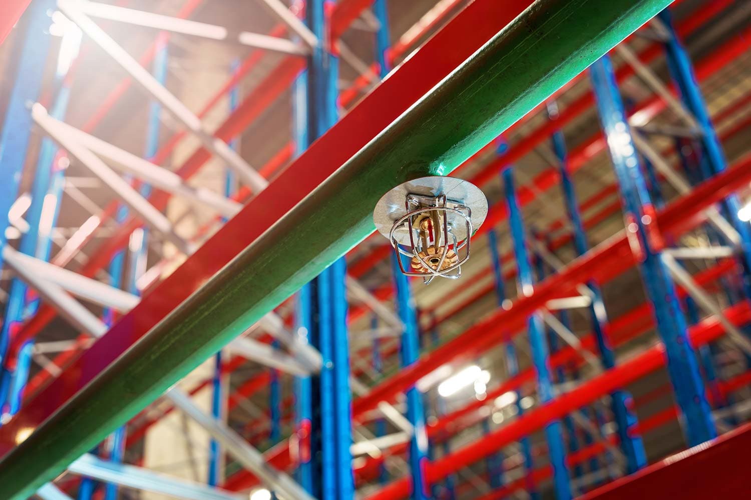 Caged fire sprinkler head mounted on a green pipe, viewed from below among red and blue steel storage racking