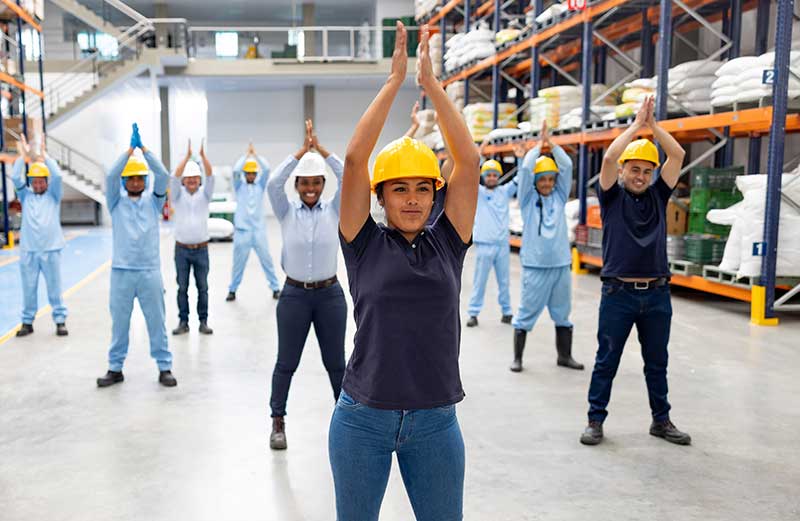 Stretching & Movement Programs