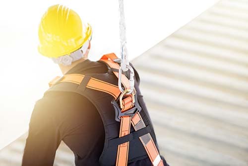 Fall Protection & Ladder Safety