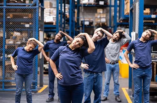 Ergonomics & Workplace Safety